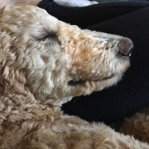 Meet your Posher, Wei